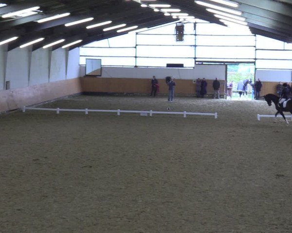 Reitturnier Datteln 2023