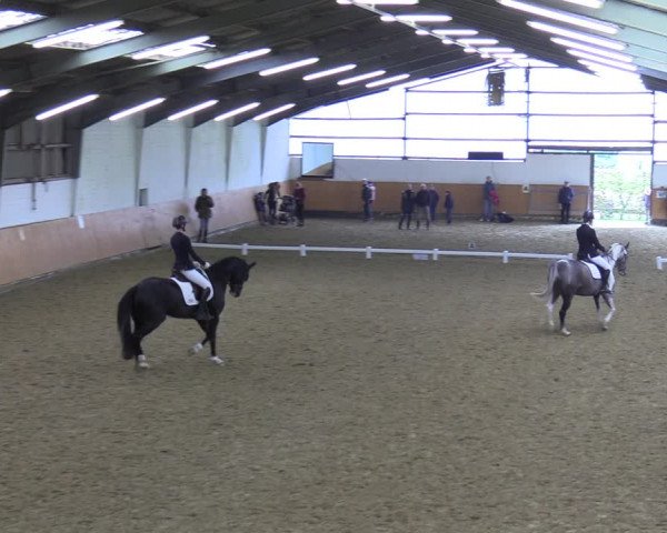 Reitturnier Datteln 2023