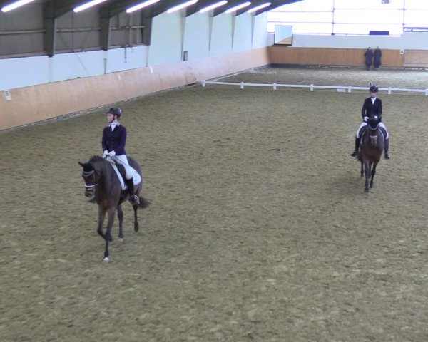 Reitturnier Datteln 2023