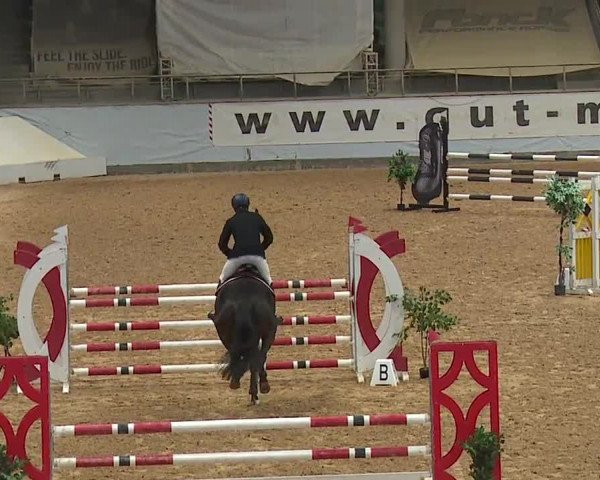Reitturnier Kreuth 2023