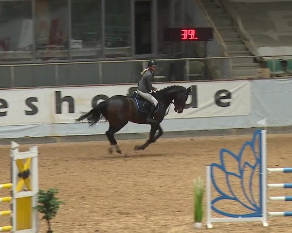 Reitturnier Kreuth 2023