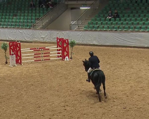 Reitturnier Kreuth 2023