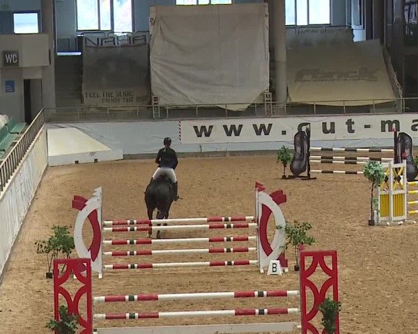 Reitturnier Kreuth 2023