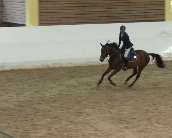 Springturnier Stadl-Paura 2023