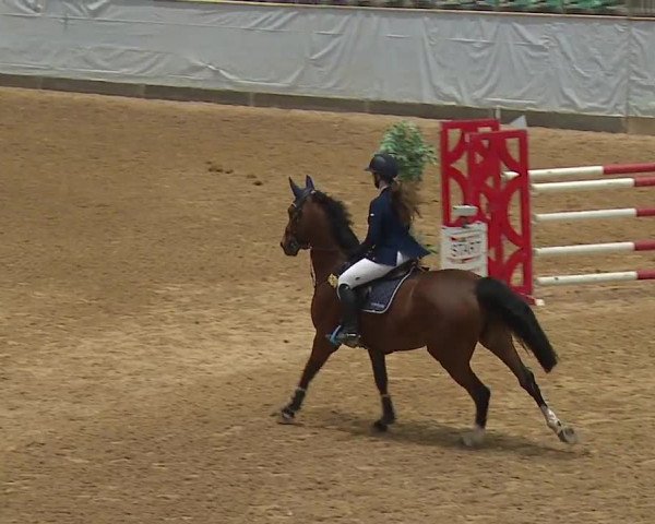Reitturnier Kreuth 2023