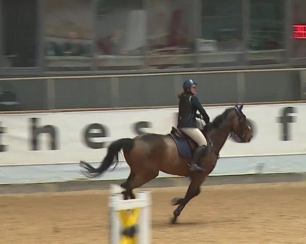 Reitturnier Kreuth 2023
