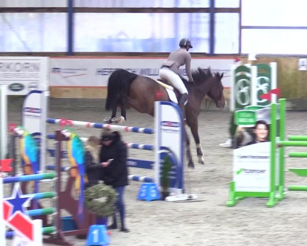 Reitturnier Großenwiehe 2023