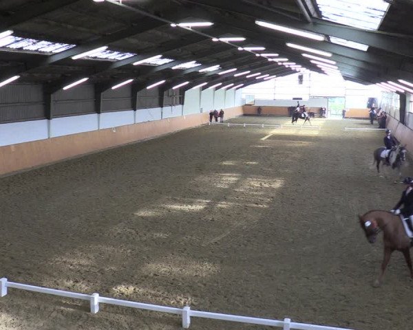 Reitturnier Datteln 2023
