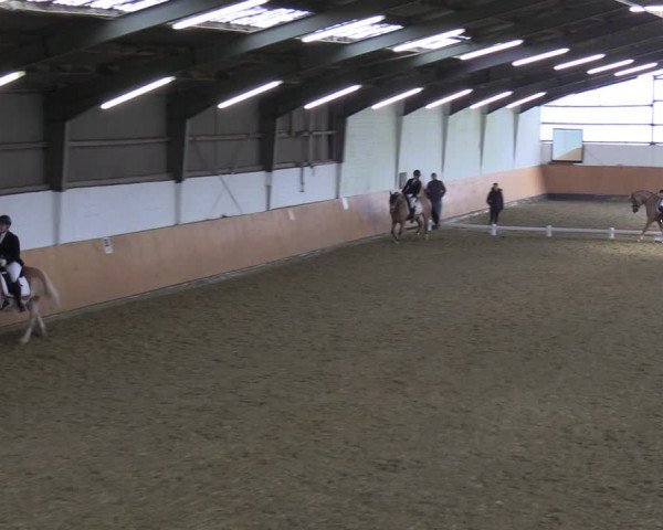 Reitturnier Datteln 2023
