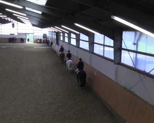 Reitturnier Datteln 2023