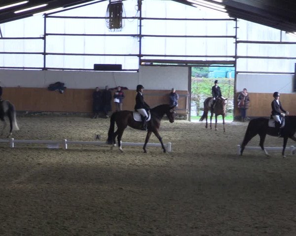 Reitturnier Datteln 2023
