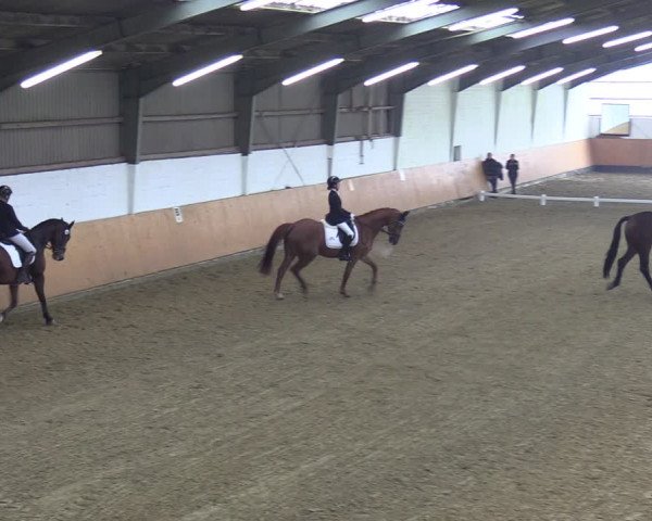 Reitturnier Datteln 2023