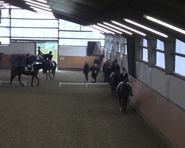 Reitturnier Datteln 2023