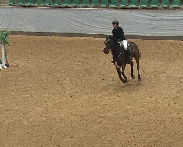 Reitturnier Kreuth 2023