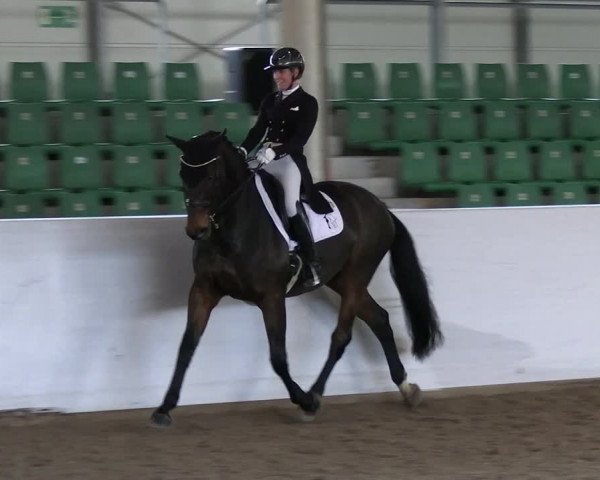 Reitturnier Zweibrücken-Landgestüt / Halle 2023
