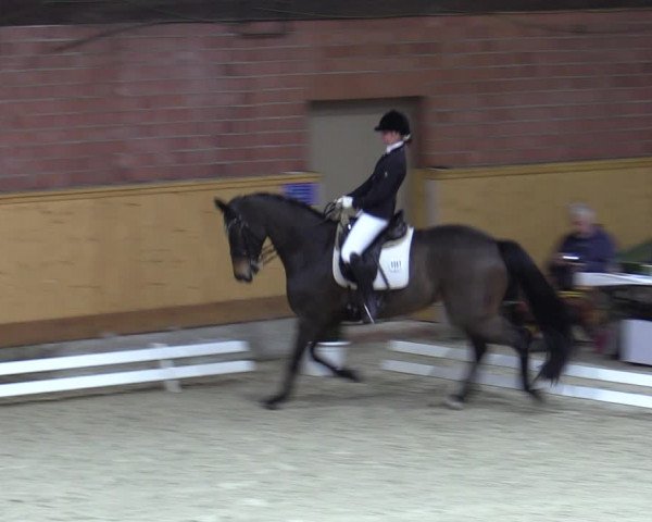 Reitturnier Hamburg-Friedrichshulde/Sylva Kuhrt 2023