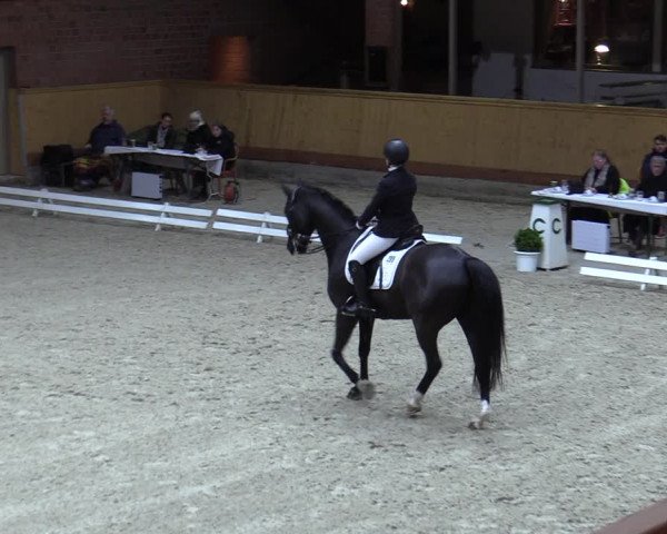 Reitturnier Hamburg-Friedrichshulde/Sylva Kuhrt 2023