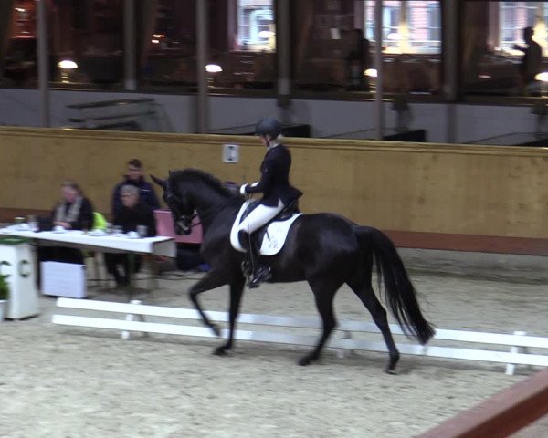 Reitturnier Hamburg-Friedrichshulde/Sylva Kuhrt 2023