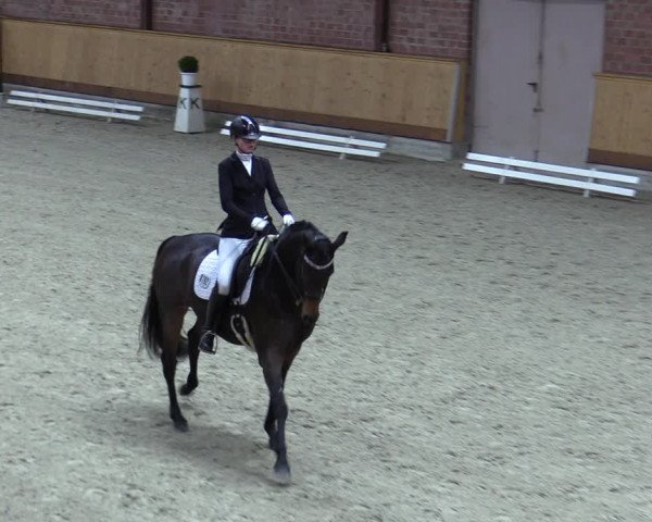 Reitturnier Hamburg-Friedrichshulde/Sylva Kuhrt 2023