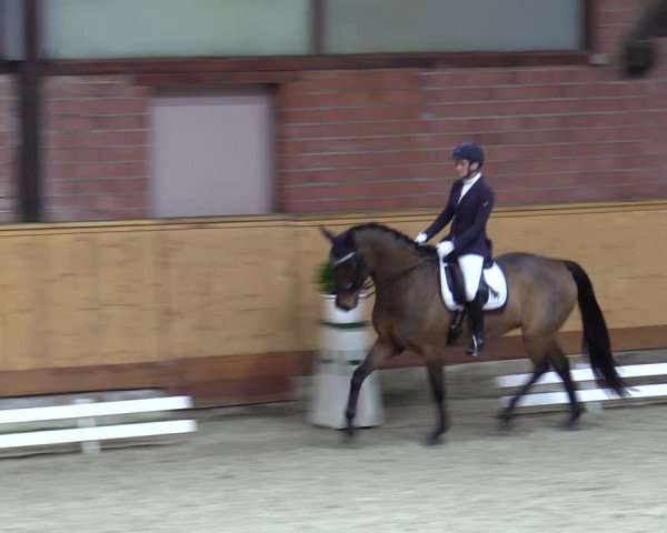 Reitturnier Hamburg-Friedrichshulde/Sylva Kuhrt 2023