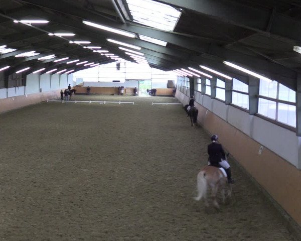 Reitturnier Datteln 2023