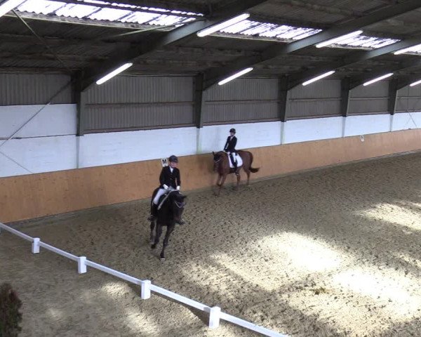 Reitturnier Datteln 2023