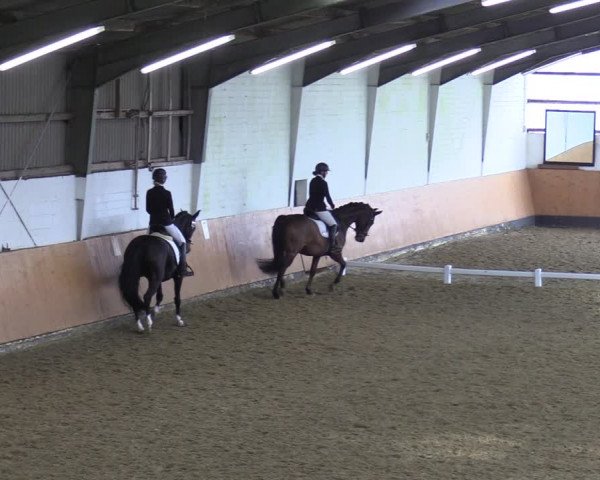 Reitturnier Datteln 2023
