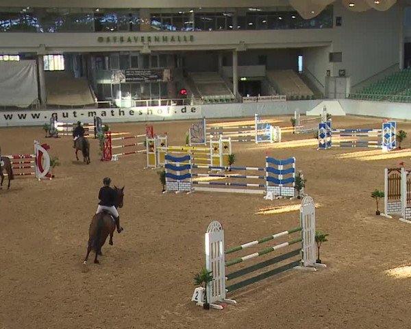 Reitturnier Kreuth 2023