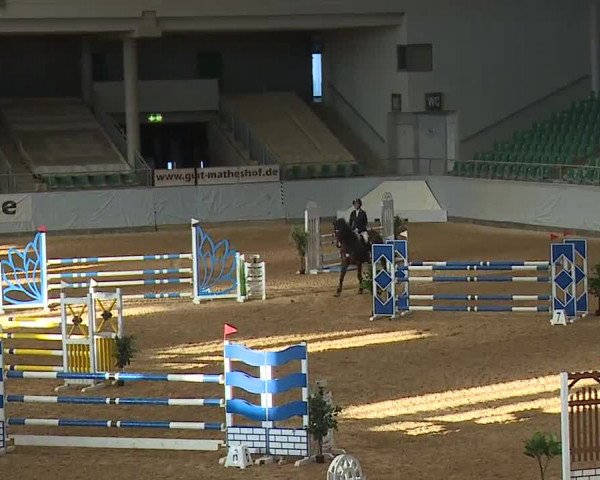 Reitturnier Kreuth 2023
