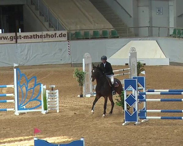 Reitturnier Kreuth 2023