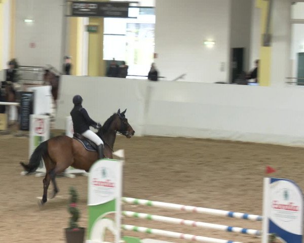 Springturnier Stadl-Paura 2023