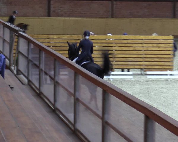 Reitturnier Hamburg-Friedrichshulde/Sylva Kuhrt 2023