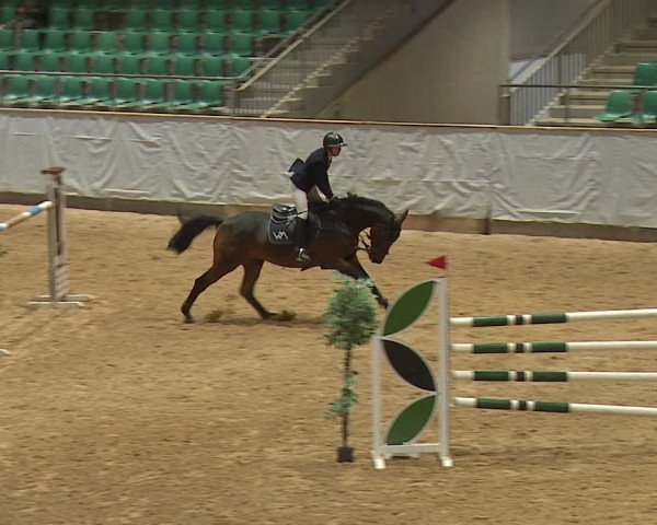 Reitturnier Kreuth 2023