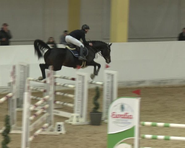 Springturnier Stadl-Paura 2023