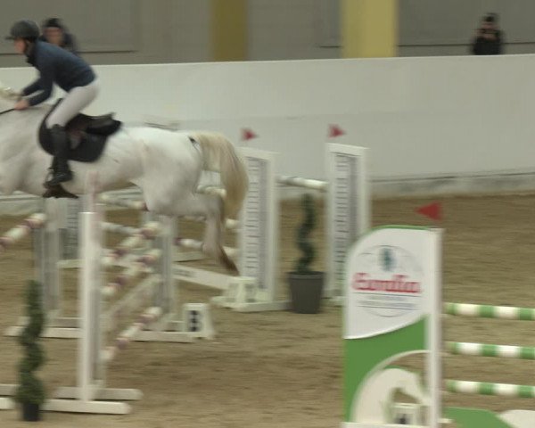 Springturnier Stadl-Paura 2023