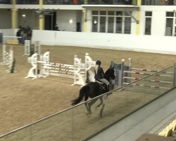 Springturnier Stadl-Paura 2023