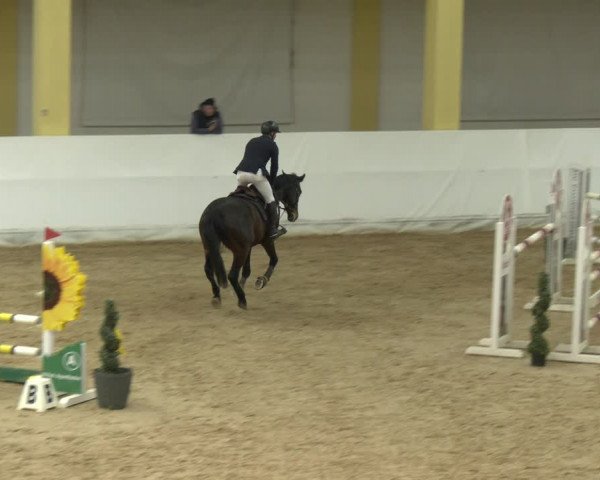 Springturnier Stadl-Paura 2023