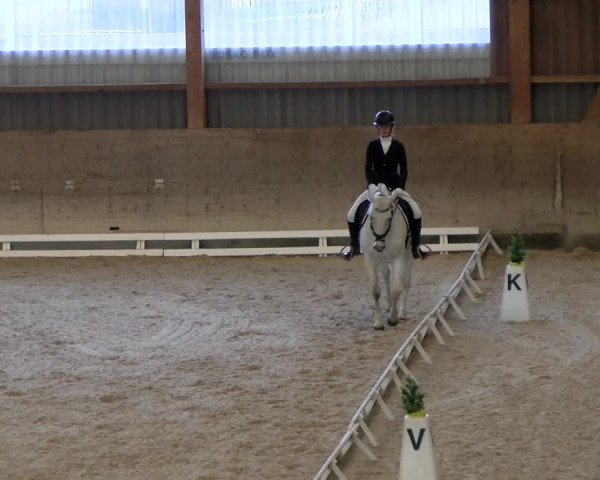 Reitturnier Schaffhausen 2023