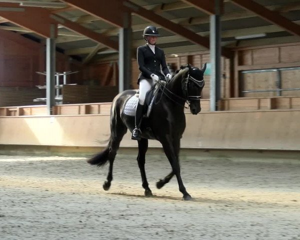 Reitturnier Isny-Rohrdorf 2021