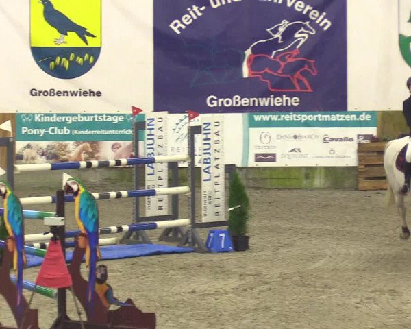 Reitturnier Großenwiehe 2023