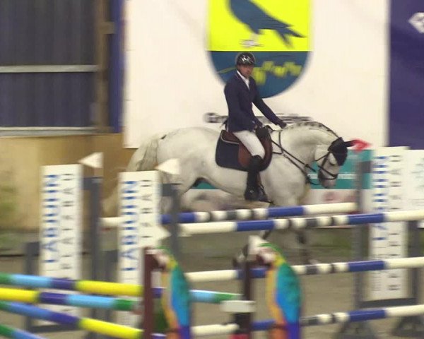 Reitturnier Großenwiehe 2023