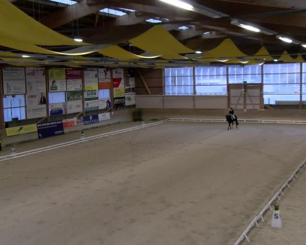 Reitturnier Schaffhausen 2023