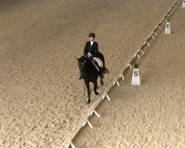 Reitturnier Schaffhausen 2023