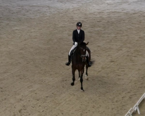 Reitturnier Schaffhausen 2023