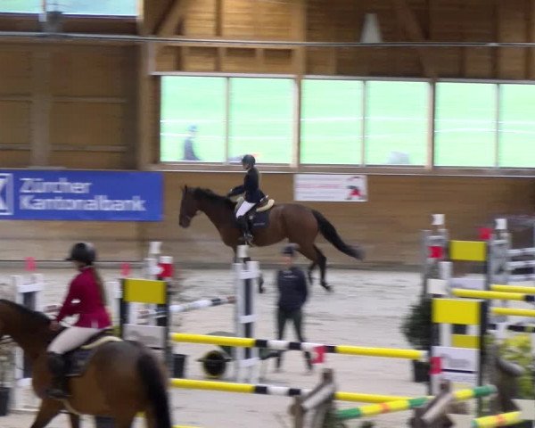 Reitturnier Rüti 2023