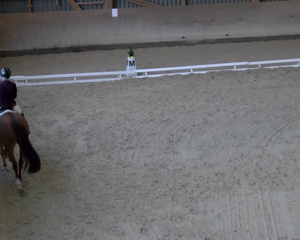 Reitturnier Schaffhausen 2023