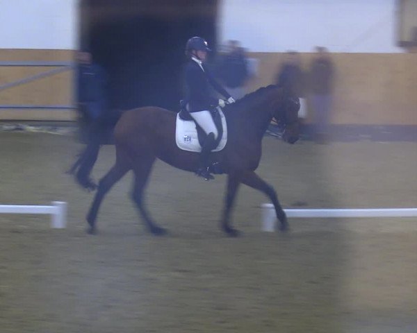 Reitturnier Datteln 2023