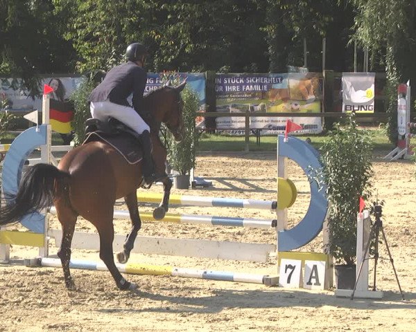 Springturnier Walldorf/Winterheck 2021