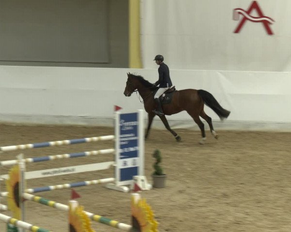 Springturnier Stadl-Paura 2023