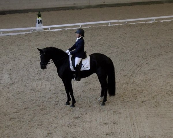 Reitturnier Schaffhausen 2023